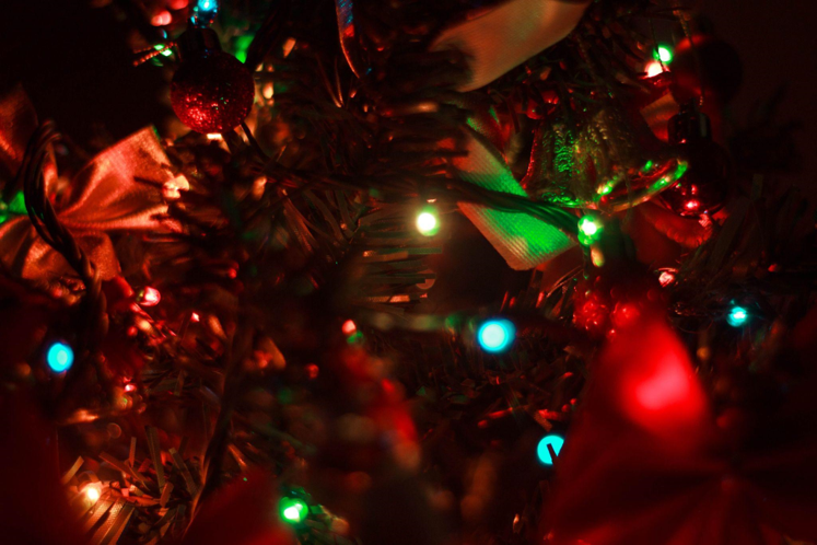 Celebrate the Festive Season with a 9ft Christmas Tree