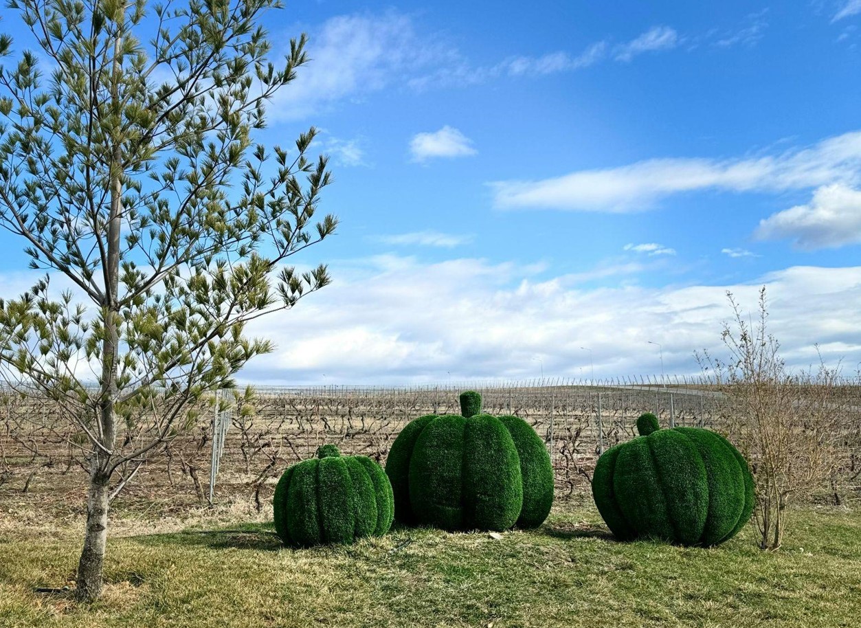 Spice Up Fall with Artificial Plants for School and Halloween